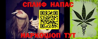стаф Кинель
