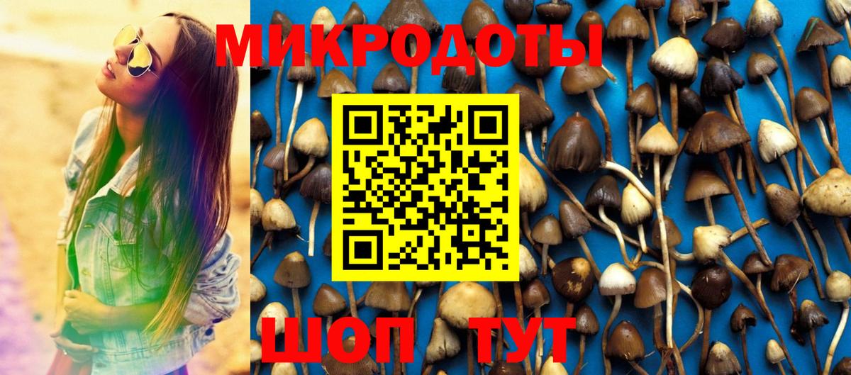 купить   Псилоцибиновые грибы мицелий  Вход с VPN  Канск 