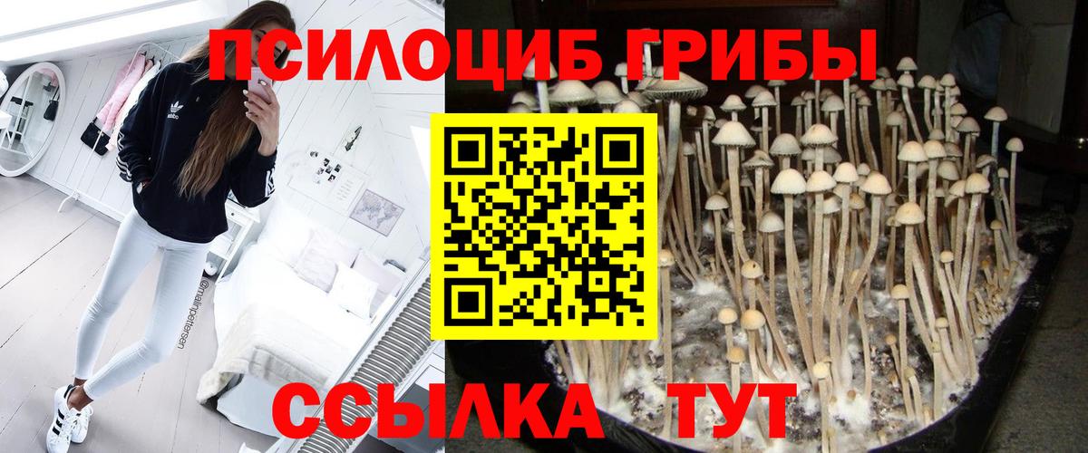 Меф  Вход с VPN  Кокаин  Codein  Канск  Меф   Марихуана 
